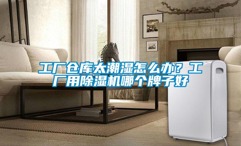 工廠倉庫太潮濕怎么辦？工廠用除濕機哪個牌子好