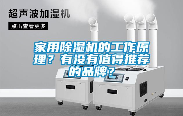 家用除濕機的工作原理？有沒有值得推薦的品牌？