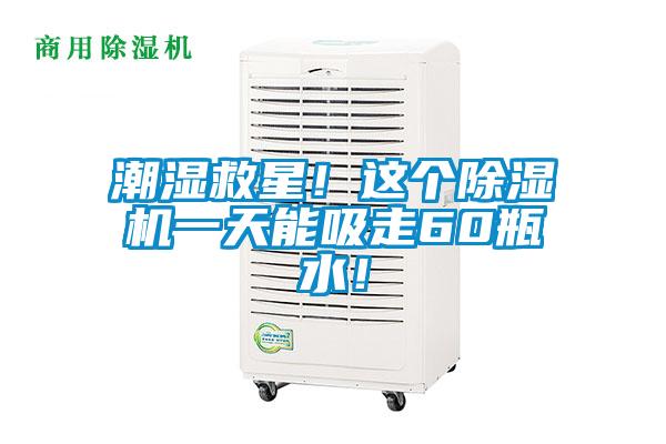 潮濕救星！這個除濕機(jī)一天能吸走60瓶水！