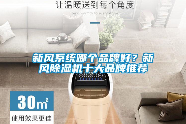 新風(fēng)系統(tǒng)哪個品牌好?新風(fēng)除濕機(jī)十大品牌推薦