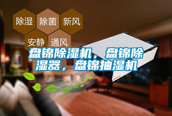 盤錦除濕機,盤錦除濕器,盤錦抽濕機