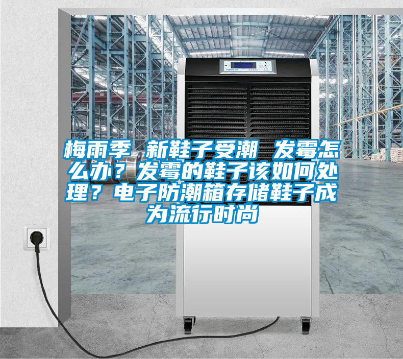 梅雨季 新鞋子受潮 發霉怎么辦？發霉的鞋子該如何處理？電子防潮箱存儲鞋子成為流行時尚