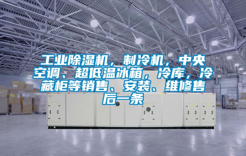 工業除濕機，制冷機，中央空調、超低溫冰箱，冷庫，冷藏柜等銷售、安裝、維修售后一條