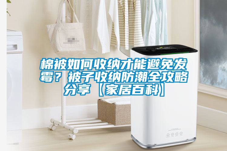 棉被如何收納才能避免發霉?被子收納防潮全攻略分享【家居百科】