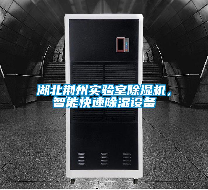 湖北荊州實驗室除濕機(jī),智能快速除濕設(shè)備