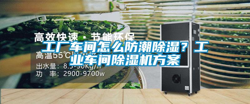 工廠車間怎么防潮除濕？工業車間除濕機方案