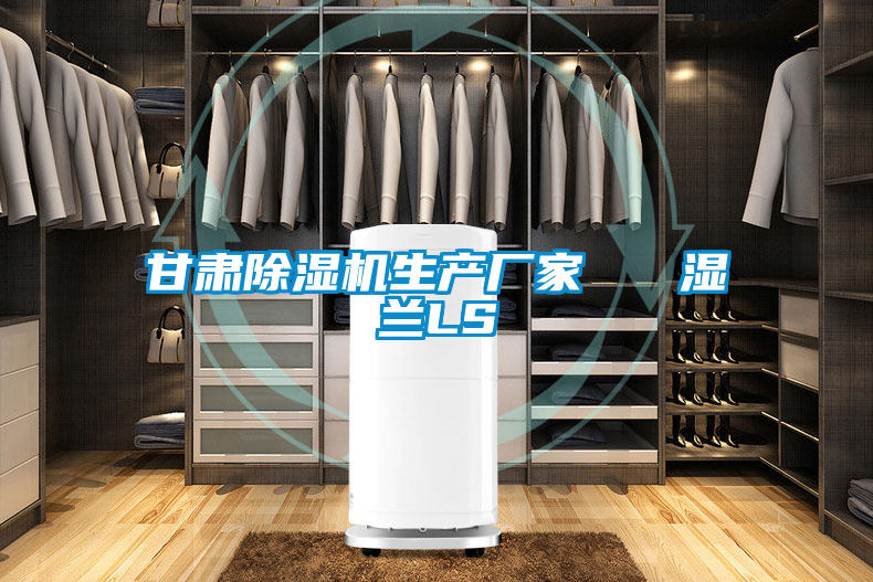 甘肅除濕機(jī)生產(chǎn)廠家 濕蘭LS