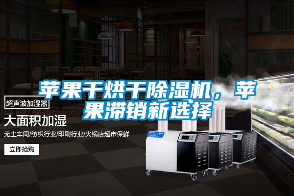 蘋果干烘干除濕機(jī)，蘋果滯銷新選擇