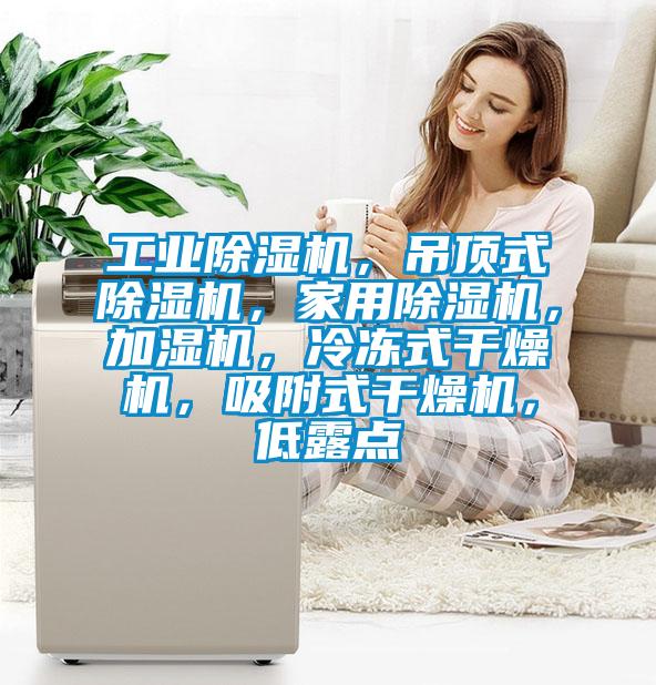 工業(yè)除濕機(jī)，吊頂式除濕機(jī)，家用除濕機(jī)，加濕機(jī)，冷凍式干燥機(jī)，吸附式干燥機(jī)，低露點(diǎn)