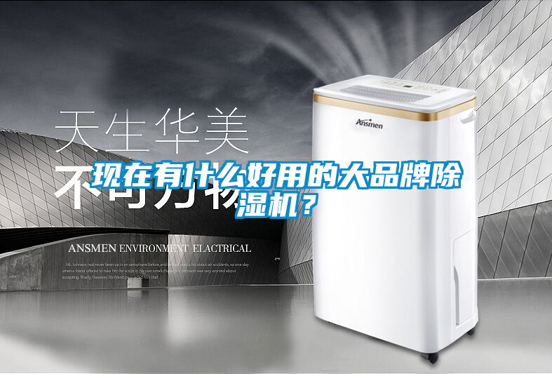 現(xiàn)在有什么好用的大品牌除濕機?