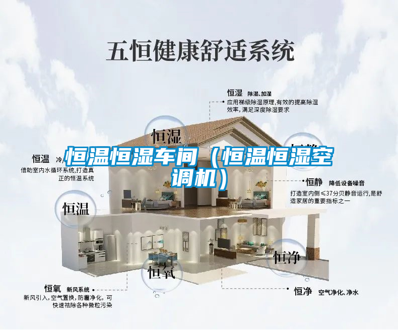 恒溫恒濕車間(恒溫恒濕空調(diào)機(jī))