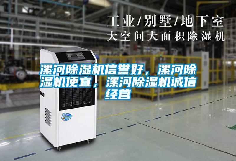 漯河除濕機信譽好,漯河除濕機便宜,漯河除濕機誠信經營
