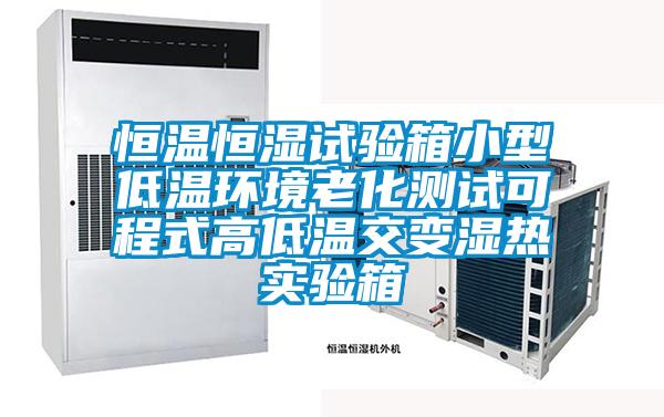 恒溫恒濕試驗箱小型低溫環境老化測試可程式高低溫交變濕熱實驗箱