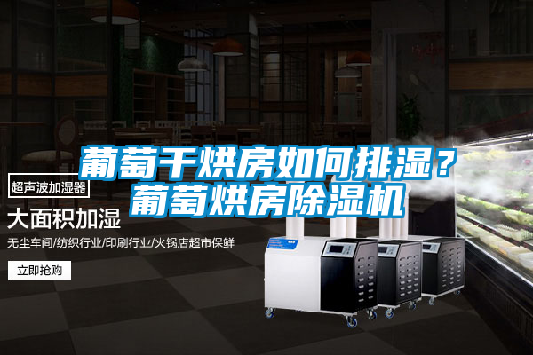 葡萄干烘房如何排濕？葡萄烘房除濕機