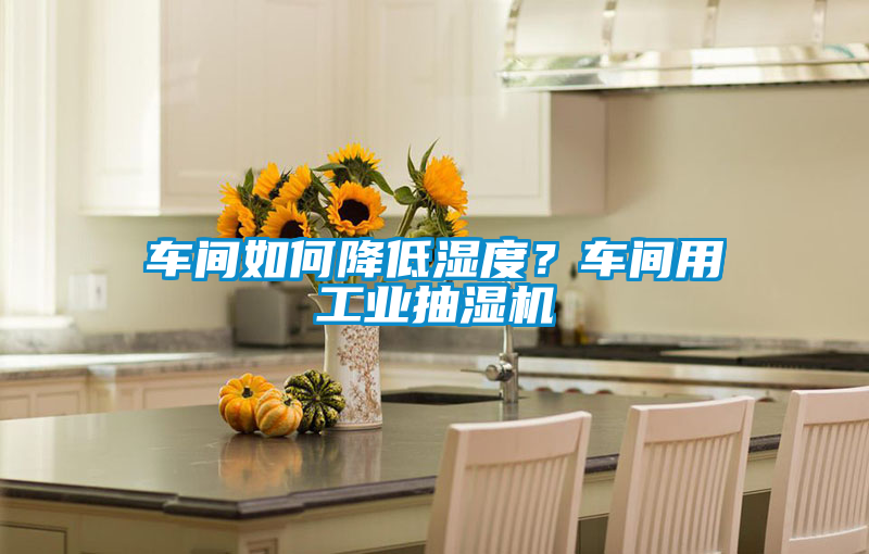 車間如何降低濕度？車間用工業抽濕機