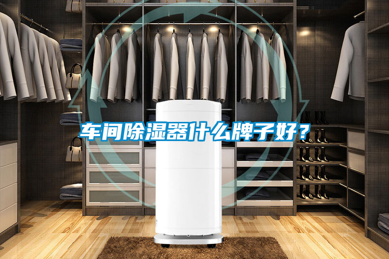 車間除濕器什么牌子好？