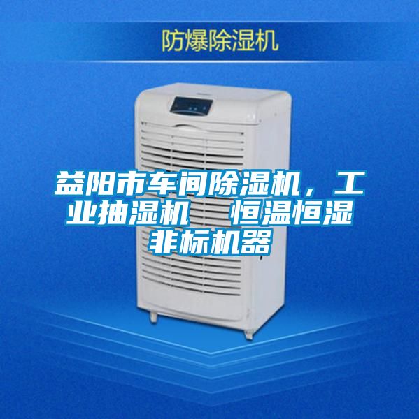 益陽市車間除濕機,工業(yè)抽濕機 恒溫恒濕非標機器