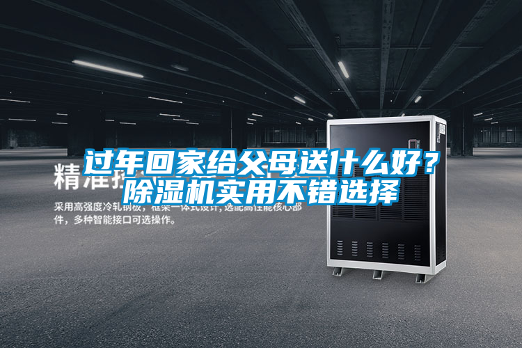 過(guò)年回家給父母送什么好?除濕機(jī)實(shí)用不錯(cuò)選擇