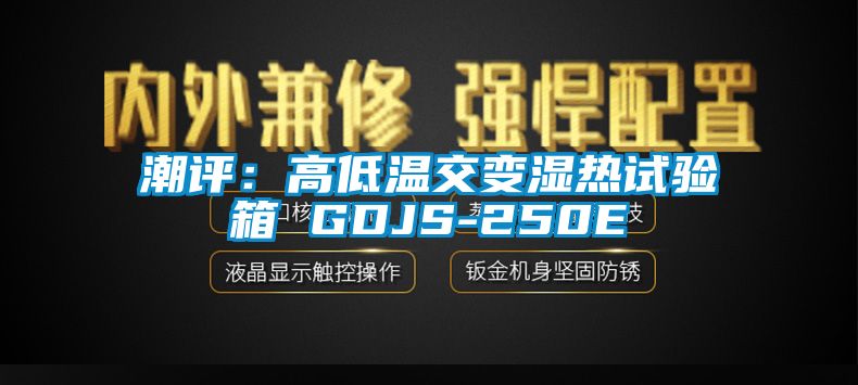 潮評:高低溫交變濕熱試驗(yàn)箱 GDJS-250E