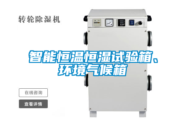 智能恒溫恒濕試驗箱、環境氣候箱