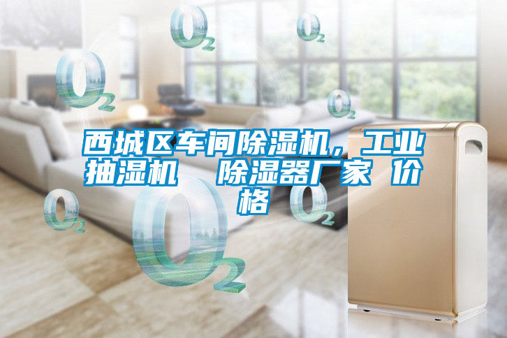 西城區(qū)車間除濕機(jī)，工業(yè)抽濕機(jī)  除濕器廠家 價格