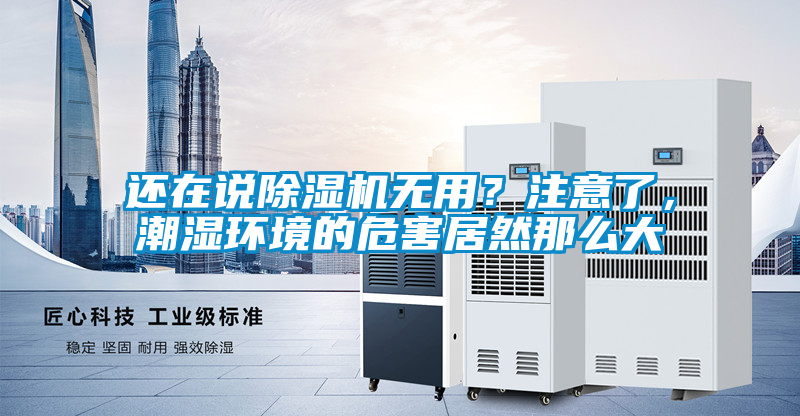 還在說除濕機無用？注意了，潮濕環境的危害居然那么大