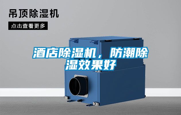 酒店除濕機(jī)，防潮除濕效果好