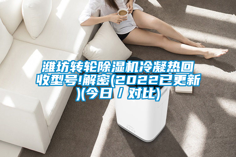濰坊轉(zhuǎn)輪除濕機(jī)冷凝熱回收型號!解密(2022已更新)(今日/對比)