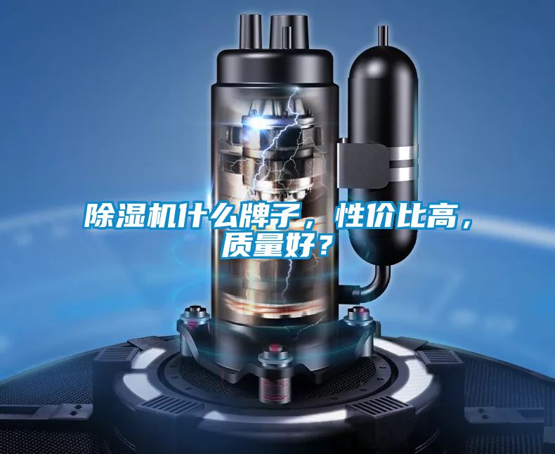 除濕機什么牌子，性價比高，質(zhì)量好？