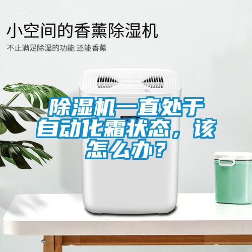 除濕機(jī)一直處于自動(dòng)化霜狀態(tài),該怎么辦?