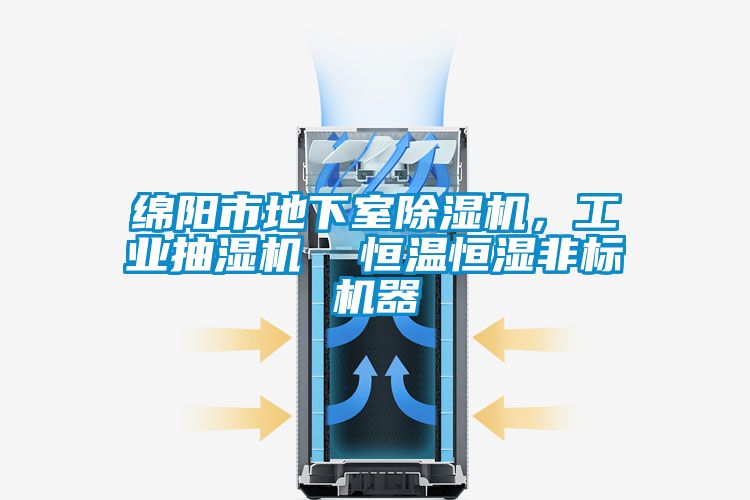 綿陽市地下室除濕機,工業抽濕機 恒溫恒濕非標機器