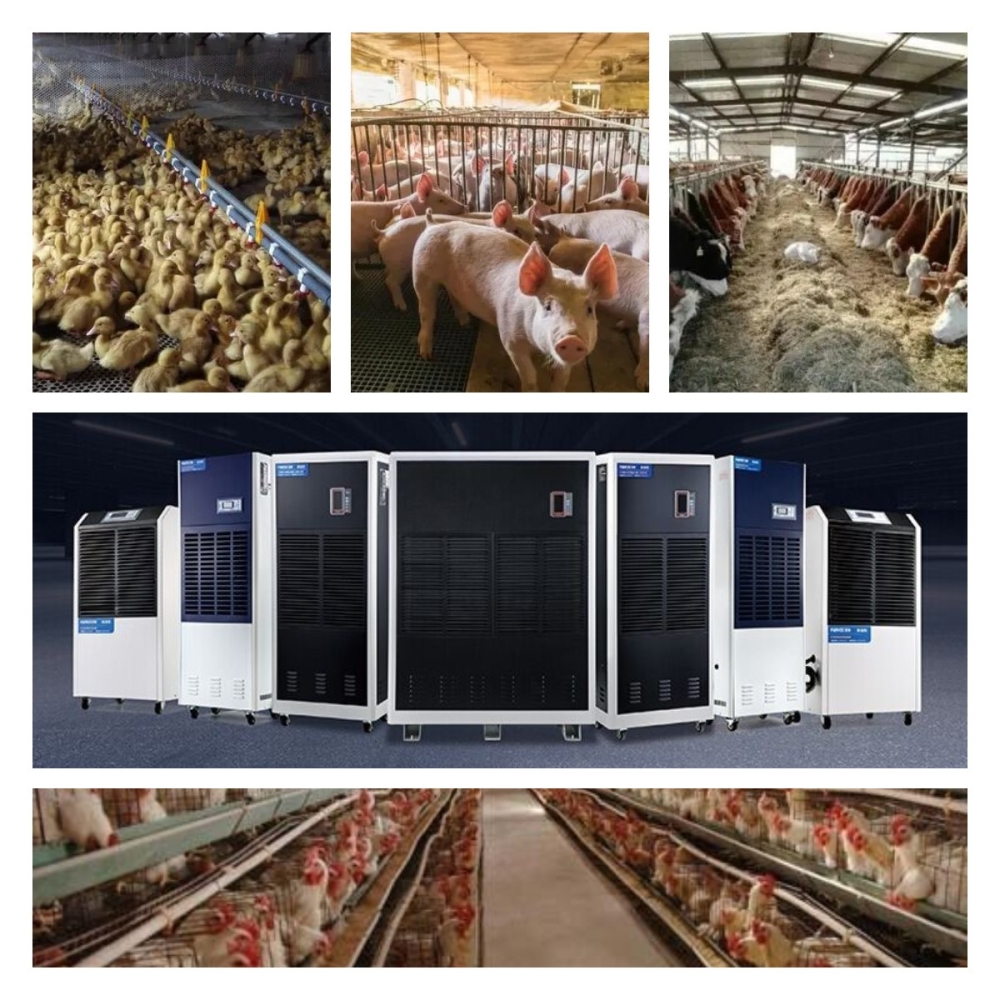 稿定設(shè)計(jì)導(dǎo)出-20211215-085453 稿定設(shè)計(jì)導(dǎo)出-20211215-085453